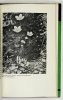 Szafer W., Szaferowa J. - Kwiaty w naturze i sztuce [Biblioteka Problemów]